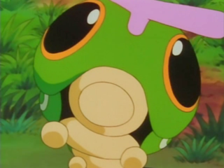 evolucion-de-caterpie-todos-los-trucos-compañero